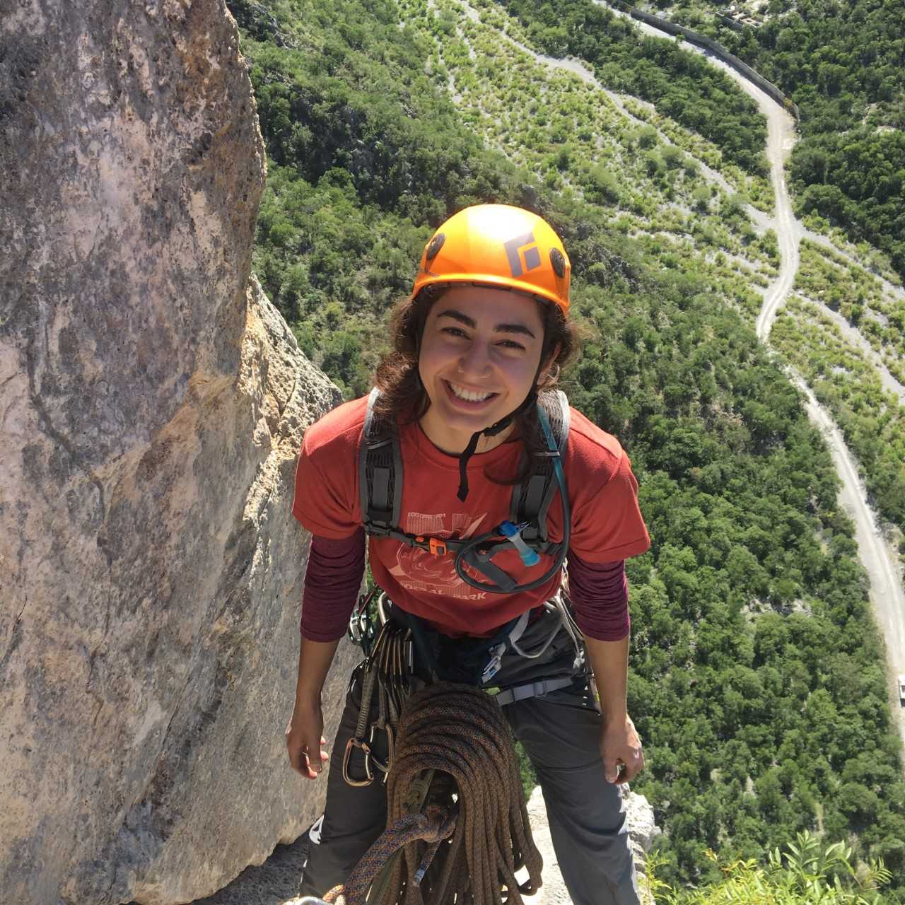 Concussion Brain: how a head injury hit the reset button on my life