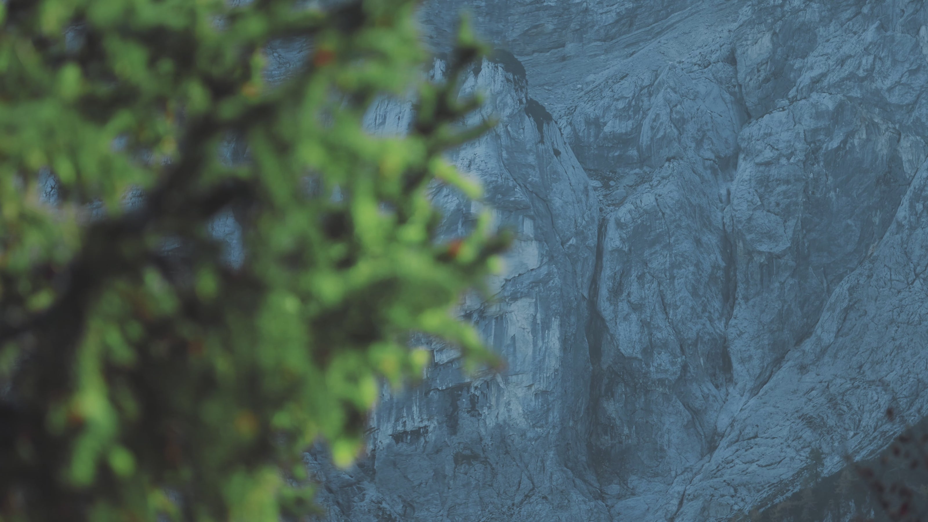 Climbing Sports Bra Racerback Bra Holdbreaker X HoldBreaker